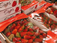 红颜草莓-盒马X会员店(上海森兰商都店)