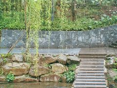 -重庆彩云湖湿地公园