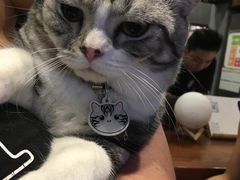 -咖法森林·咖啡  酒吧(天河店)