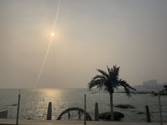 -Vanillacafe香草咖啡(银海大世界店)