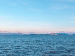 -深圳湾公园(南山区)