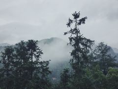 -藏龙百瀑风景区