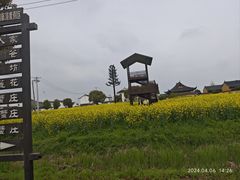 -莲花岛景区