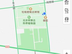 -呀路古热带植物园
