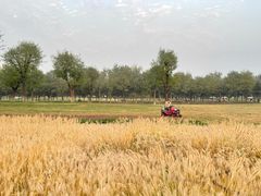 -汉长安城未央宫国家考古遗址公园