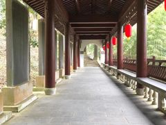 -仙霞关景区