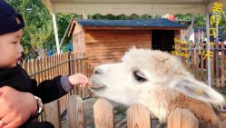 -萌宠亲子动物乐园(槐房万达店)