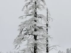-瓦屋山景区