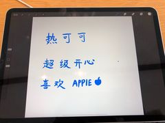 -Apple零售店(成都太古里店)