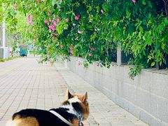 -河南牧业经济学院(龙子湖校区)