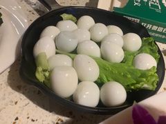 -二荆条·蜀鲜汇城市森林火锅