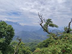 -青城山