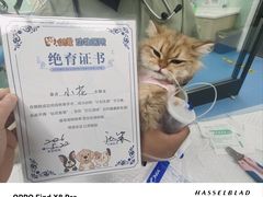 -达爱动物医院·犬猫分区·CT·复杂眼科(远洋山水分院)