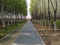 -永定河休闲森林公园