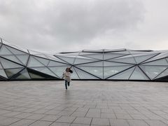 -哈尔滨大剧院