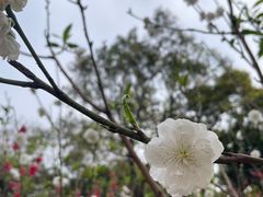 -桃花涧