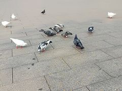 -府君山公园