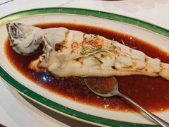 -金狮麟·新豫菜(金码大厦店)