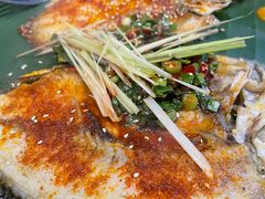 -雀舞云南菜(乐客城店)