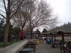 -尚庄度假村·庭台树下·户外烧烤·团建CS·轰趴营地(上庄水库店)