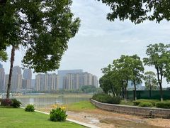 -金沙湖公园