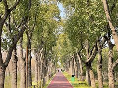 -柳鹭田园区