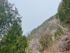 -北京十三陵国家森林公园蟒山景区