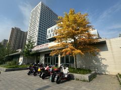 -上海市第四人民医院