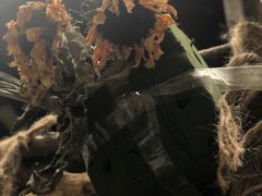 -泉乐坊步行街(烟酒特产平价超市店)