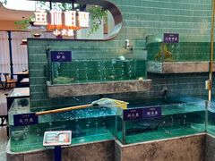 -鱼你相聚·河鲜馆(袁家岭店)