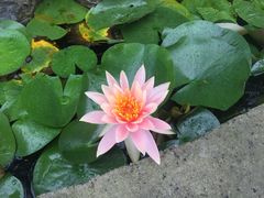 -汤山翠谷生态餐厅