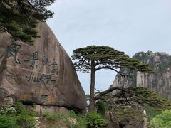 -自游人·美食一楼·地道徽菜(三十年名店)