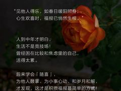 -曼朗心理咨询·旗舰店