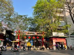 -金砂公园