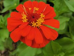 -长春公园(普阳街道)