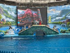 -海合安成都极地海洋公园