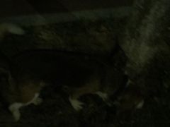 -金陵科技学院江宁校区-图书馆