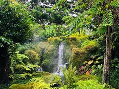 -Chom Cafe and Restaurant