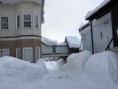 -二世古滑雪场