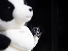-玉林生活广场