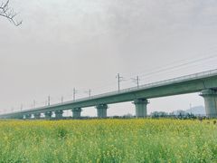 -光明小镇欢乐田园