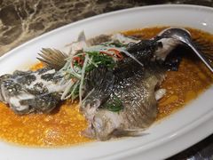 -老洋房花园饭店(绍兴路店)