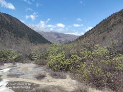 -黄龙山原始森林景区