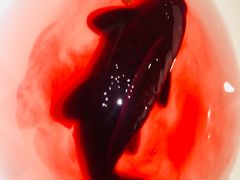 鸭血-重庆大队长火锅(凤城八路店)