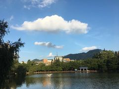 -四海公园(南山区)