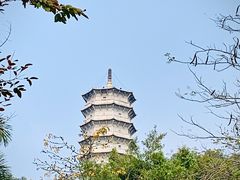 -深圳国际园林花卉博览园