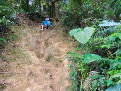 -梧桐山风景名胜区