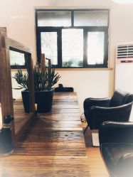 -HAIR PORN STUDIO