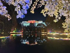 -布达拉宫
