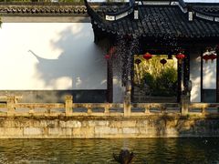 -上海醉白池公园